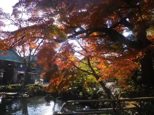 長谷寺のその他建物