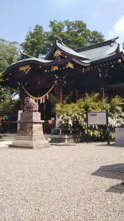 行田八幡神社の本殿・本堂