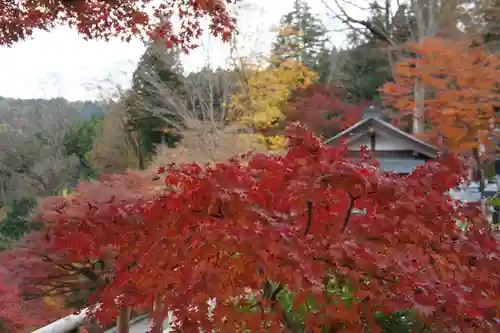 永源寺(茨城県)