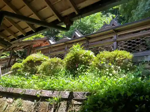 穴師坐兵主神社の本殿