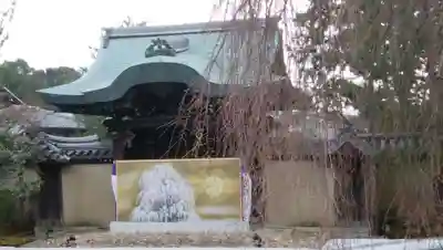 高台寺(高台寿聖禅寺・高臺寺)の山門・神門