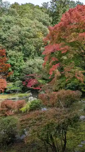 毘沙門堂門跡(京都府)