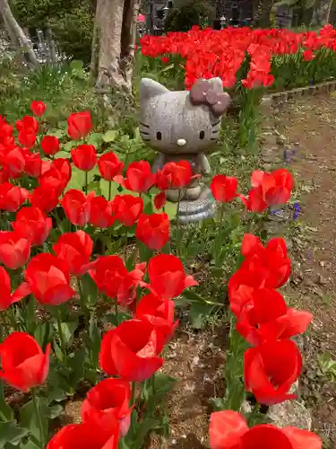 泉蔵寺の狛犬