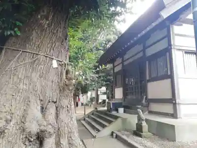 天照神社の本殿・本堂