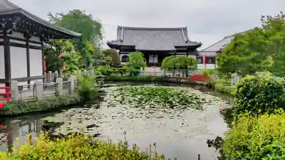 圓照寺(埼玉県)