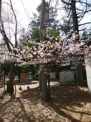 大谷地神社(北海道)