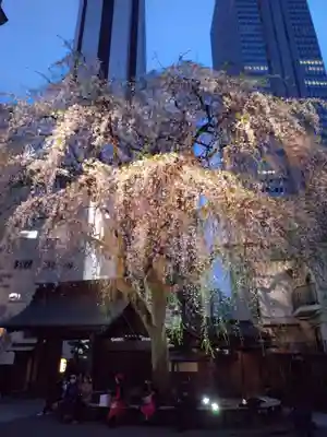 常圓寺(東京都)