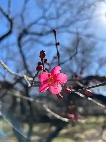 谷保天満宮(東京都)