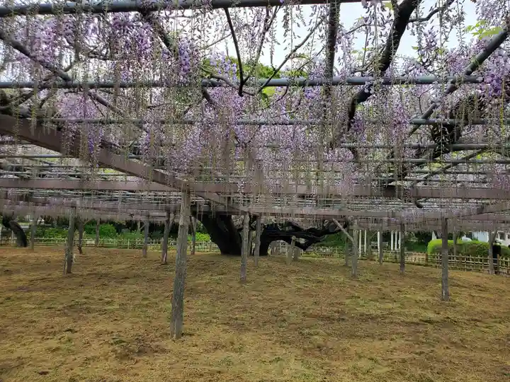 玉敷神社(埼玉県)