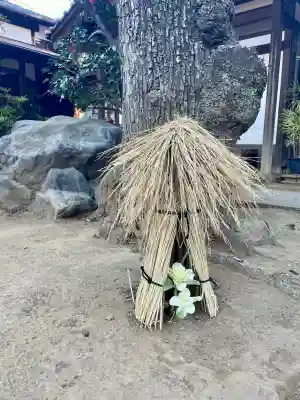 本立寺(東京都)