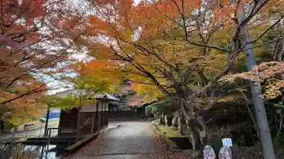 圓隆寺(京都府)