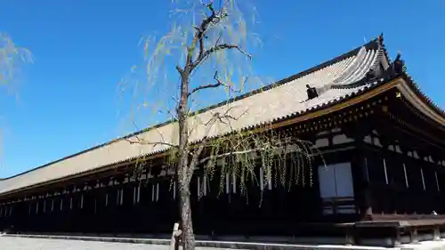 蓮華王院（三十三間堂）(京都府)