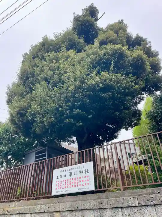 上高田氷川神社の{uncategorized: "未分類", other: "その他", undefined: "問題あり", building: "その他建物", grave: "お墓", sacred_gate: "鳥居", guardian: "狛犬", statue: "像", buddha: "仏像", history: "歴史", nature: "自然", garden: "庭園", animal: "動物", pagoda: "塔", temizu: "手水舎", mountain_gate: "山門・神門", sanctuary: "本殿・本堂", subordinate: "末社・摂社", art: "芸術", scenery: "景色", jizo: "地蔵", ema: "絵馬", goshuin: "御朱印", omikuji: "おみくじ", items: "授与品その他", amulet: "お守り", goshuincho: "御朱印帳", eats: "食事", festival: "お祭り", votive_dance: "神楽", shichigosan: "七五三参", wedding: "結婚式", experience: "体験その他", initially: "初詣", around: "周辺", anti_infection: "感染症対策"}