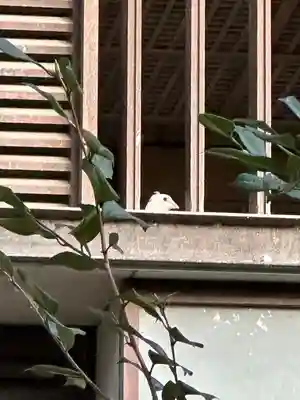 靖國神社(東京都)