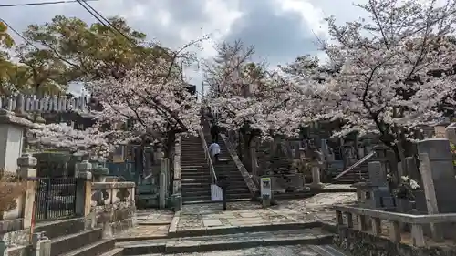 くろ谷 金戒光明寺(京都府)