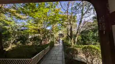 元慶寺(京都府)