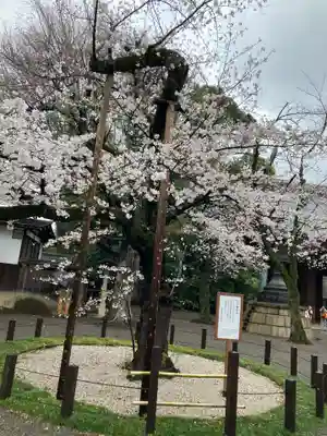 靖國神社(東京都)