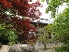 円福寺の建物その他