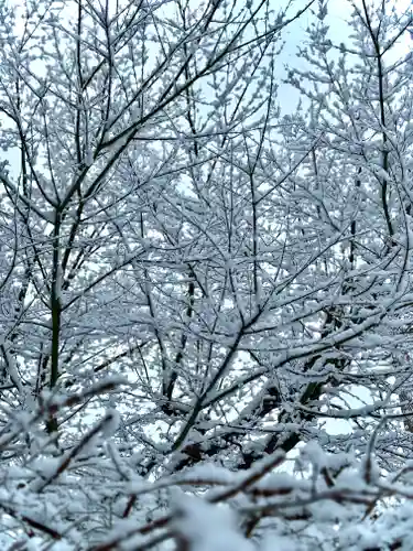 伊達神社(北海道)