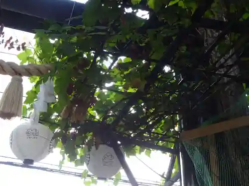 菊名神社のその他建物