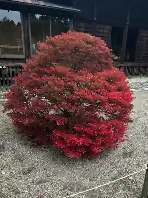 青葉神社(宮城県)