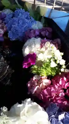 新琴似神社の手水舎