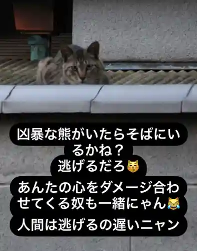 専念寺(大阪府)