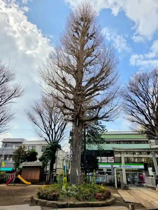 稲荷森稲荷神社(東京都)