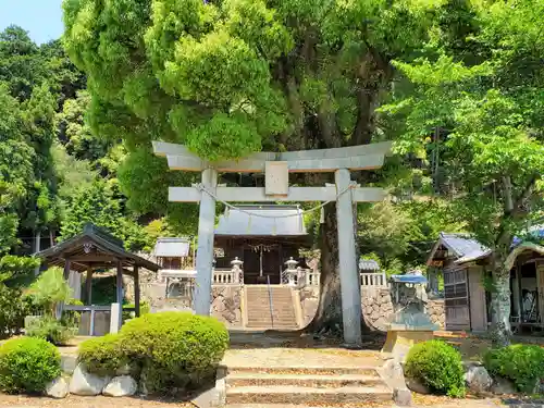 大崎神社の鳥居