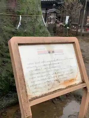 佐間天神社(埼玉県)