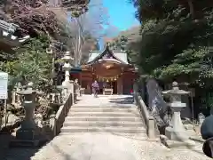 岩槻久伊豆神社(埼玉県)