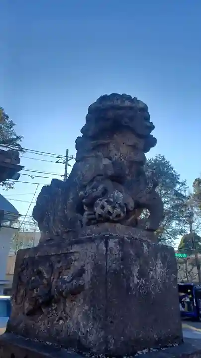 高円寺天祖神社(東京都)