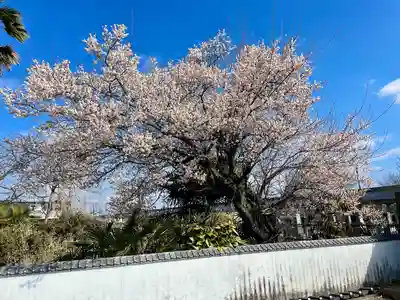 蓮行寺(栃木県)