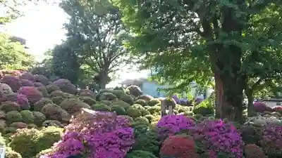 根津神社(東京都)