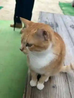 縣主神社(岡山県)