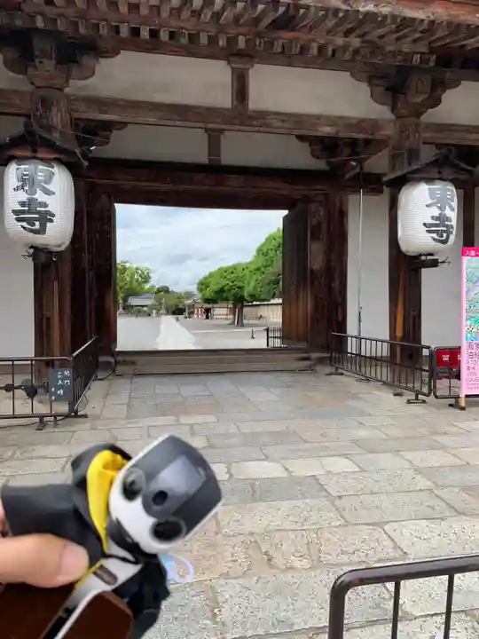 東寺(教王護国寺)(京都府)