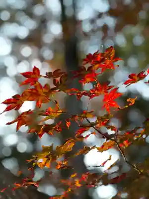 諏訪大社下社秋宮(長野県)
