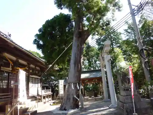 榊山神社の建物その他