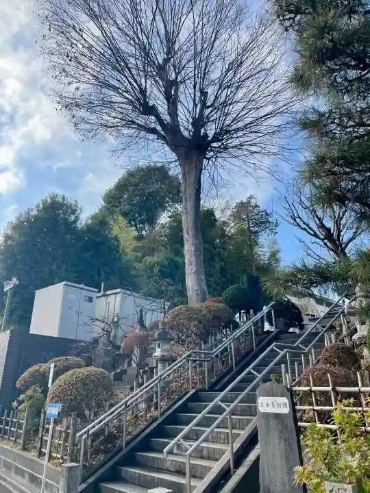 廣源院東福寺(東京都)