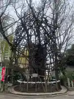稲毛神社(神奈川県)