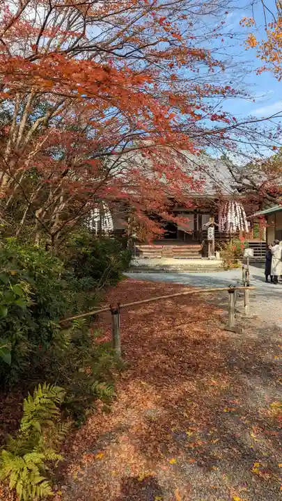 常照寺(京都府)