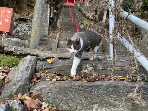 香取伊豆乃御子神社(宮城県)