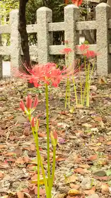 平野神社(京都府)