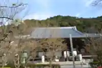 禅林寺(永観堂)の本殿・本堂
