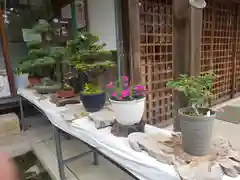 豊満神社の建物その他