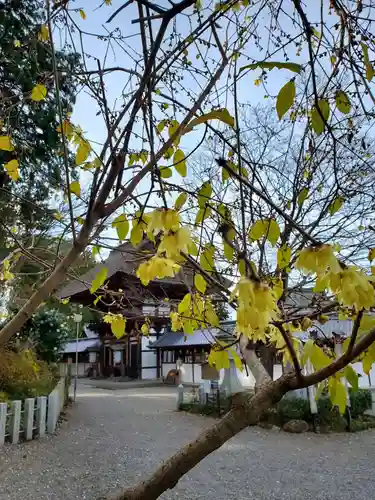 沙沙貴神社の自然