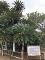 豊受神社の自然