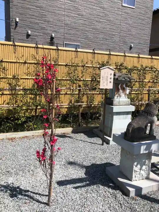 總社 和田八幡宮(福井県)