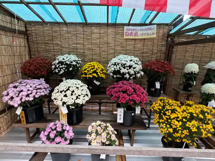 諏訪大社(長野県)