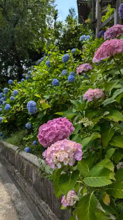 善峯寺(京都府)